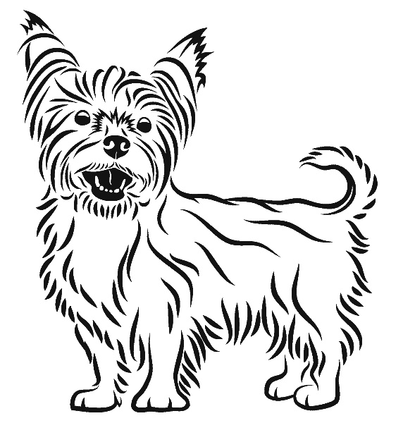 Иллюстрация к книге — Нектар для души. Правдивые истории для детей от 7 до 10 лет [i_061.jpg]