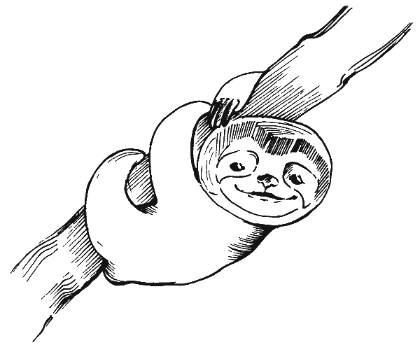 Иллюстрация к книге — Нектар для души. Правдивые истории для детей от 7 до 10 лет [i_074.jpg]