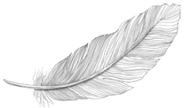 Иллюстрация к книге — Всё самое лучшее просто. Повседневные идеи для более спокойной и размеренной жизни [i_002.jpg]