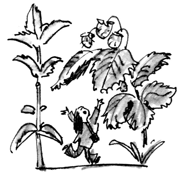 Иллюстрация к книге — Ангелы и пионеры [i_098.jpg]