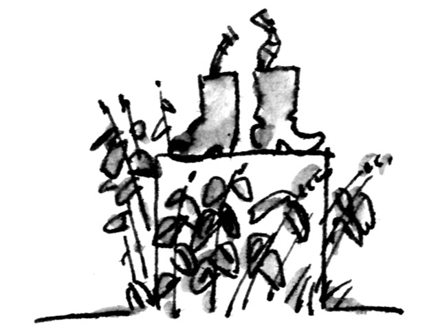 Иллюстрация к книге — Ангелы и пионеры [i_100.jpg]