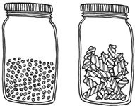 Иллюстрация к книге — ЭКОsapiens. Простые правила осознанной жизни [i_009.jpg]