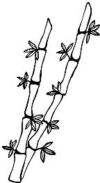 Иллюстрация к книге — ЭКОsapiens. Простые правила осознанной жизни [i_026.jpg]