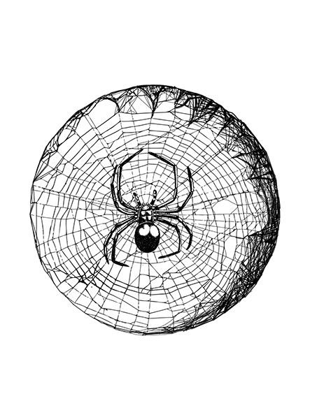 Иллюстрация к книге — Костяные часы [i_005.jpg]