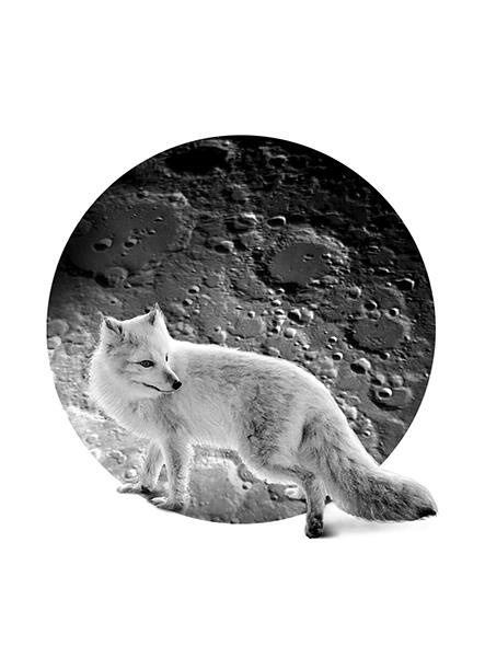 Иллюстрация к книге — Костяные часы [i_007.jpg]