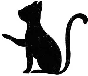 Иллюстрация к книге — Тайная библиотека [i_005.jpg]