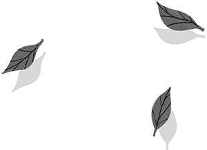 Иллюстрация к книге — Тайная библиотека [i_015.jpg]