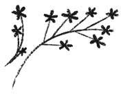 Иллюстрация к книге — Тайная библиотека [i_068.jpg]