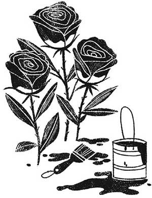 Иллюстрация к книге — Тайная библиотека [i_070.jpg]