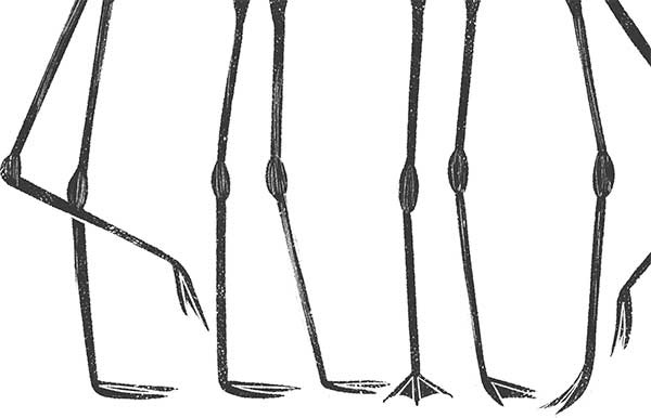 Иллюстрация к книге — Тайная библиотека [i_072.jpg]