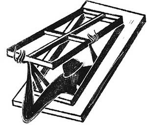 Иллюстрация к книге — Тайная библиотека [i_080.jpg]