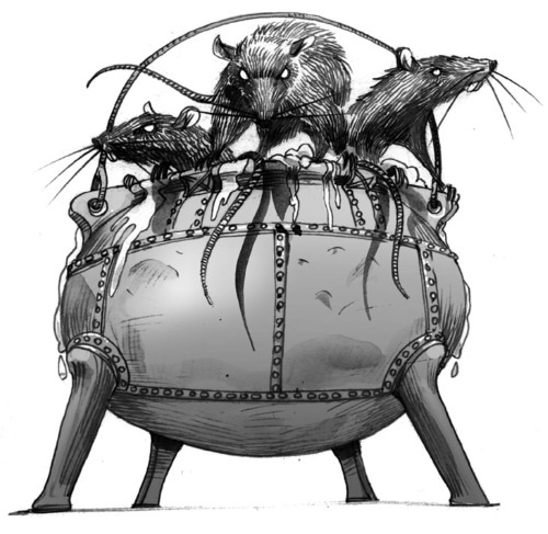 Иллюстрация к книге — Принцесса или ведьма [i_011.jpg]