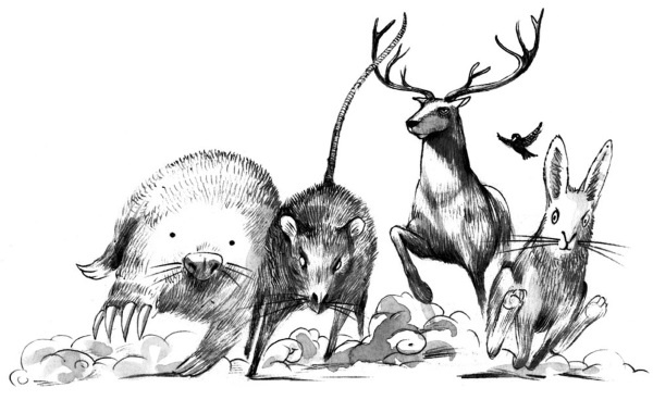 Иллюстрация к книге — Принцесса или ведьма [i_017.jpg]