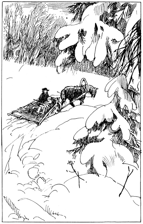 Иллюстрация к книге — Там, за чертой блокады [i_016.jpg]