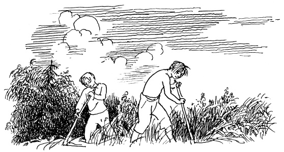 Иллюстрация к книге — Там, за чертой блокады [i_017.jpg]