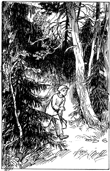 Иллюстрация к книге — Там, за чертой блокады [i_020.jpg]