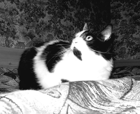 Иллюстрация к книге — Посреди времен, или Карта моей памяти [i_012.jpg]