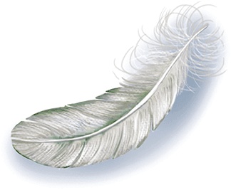 Иллюстрация к книге — Тайна бульдога Именалия [i_008.jpg]