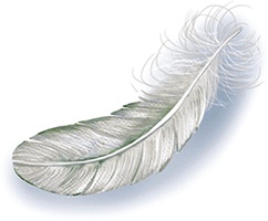 Иллюстрация к книге — Тайна бульдога Именалия [i_027.jpg]