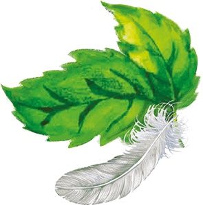 Иллюстрация к книге — Тайна бульдога Именалия [i_029.jpg]