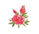 Иллюстрация к книге — Страна Чудес [i_002.jpg]