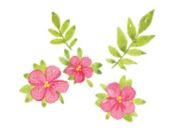 Иллюстрация к книге — Страна Чудес [i_008.jpg]