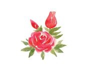 Иллюстрация к книге — Страна Чудес [i_030.jpg]