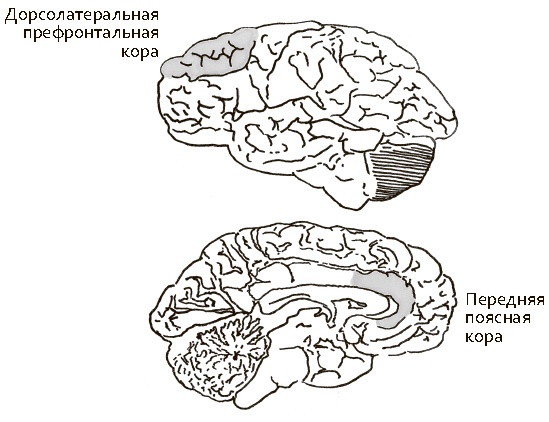 Иллюстрация к книге — Сбитые с толку [i_013.jpg]