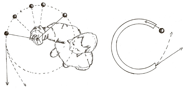 Иллюстрация к книге — Сбитые с толку [i_020.jpg]