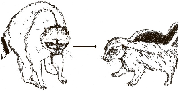 Иллюстрация к книге — Сбитые с толку [i_042.jpg]