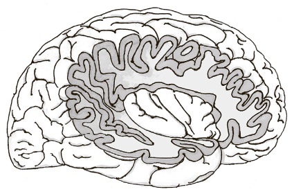 Иллюстрация к книге — Сбитые с толку [i_044.jpg]