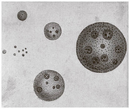 Иллюстрация к книге — Сбитые с толку [i_046.jpg]