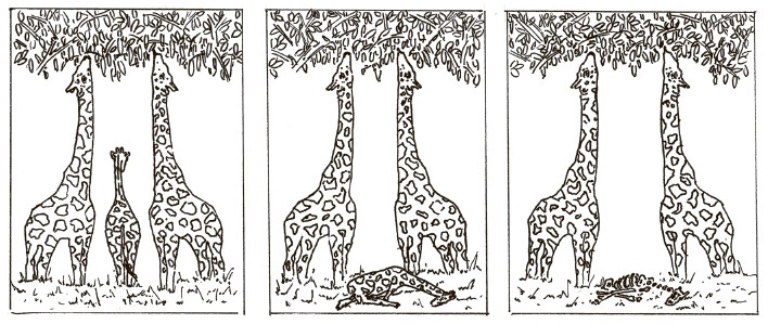 Иллюстрация к книге — Сбитые с толку [i_052.jpg]