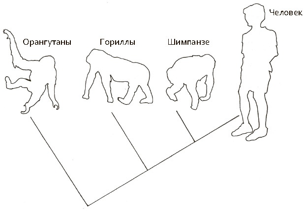 Иллюстрация к книге — Сбитые с толку [i_054.jpg]