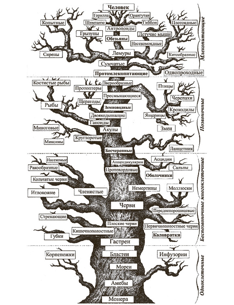 Иллюстрация к книге — Сбитые с толку [i_058.jpg]