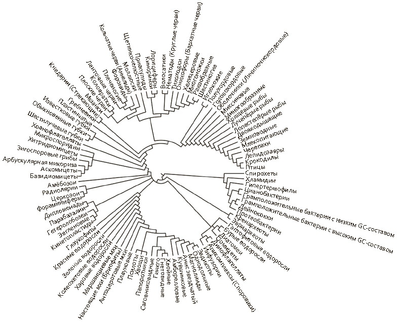Иллюстрация к книге — Сбитые с толку [i_059.jpg]