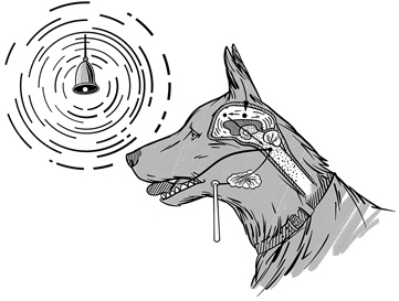 Иллюстрация к книге — 30 Нобелевских премий: Открытия, изменившие медицину [i_004.jpg]