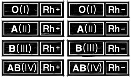 Иллюстрация к книге — 30 Нобелевских премий: Открытия, изменившие медицину [i_007.jpg]