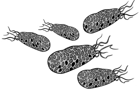 Иллюстрация к книге — 30 Нобелевских премий: Открытия, изменившие медицину [i_018.jpg]