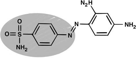 Иллюстрация к книге — 30 Нобелевских премий: Открытия, изменившие медицину [i_025.jpg]