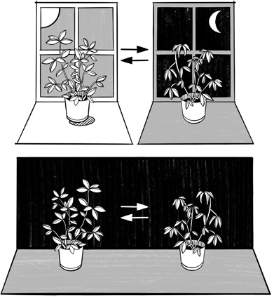 Иллюстрация к книге — 30 Нобелевских премий: Открытия, изменившие медицину [i_030.jpg]