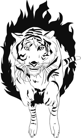 Иллюстрация к книге — Торт: Кулинарный детектив [i_017.jpg]