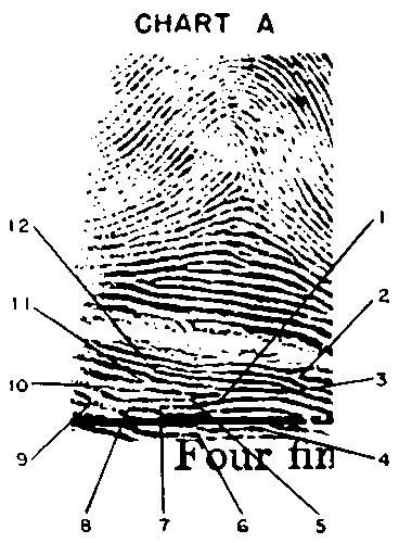 Иллюстрация к книге — Век криминалистики [i_037.jpg]