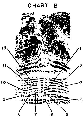 Иллюстрация к книге — Век криминалистики [i_038.jpg]