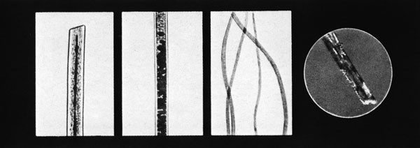 Иллюстрация к книге — Век криминалистики [i_053.jpg]