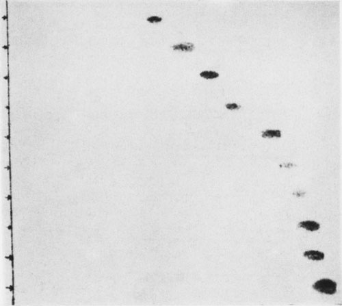 Иллюстрация к книге — Век криминалистики [i_060.jpg]