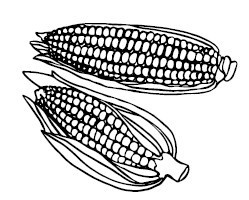 Иллюстрация к книге — Что и когда есть. Как найти золотую середину между голодом и перееданием [i_035.jpg]