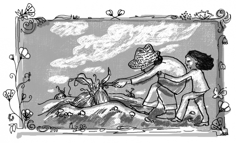 Иллюстрация к книге — Пенелопа и огненное чудо [i_026.jpg]