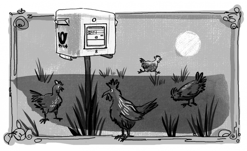 Иллюстрация к книге — Пенелопа и огненное чудо [i_029.jpg]