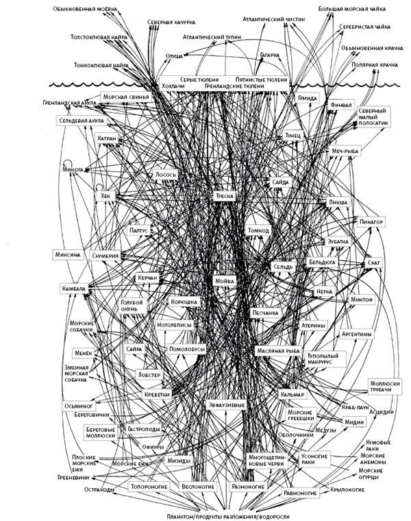 Иллюстрация к книге — Площадь и башня. Cети и власть от масонов до Facebook [i_002.jpg]